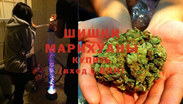 гашик Богородицк